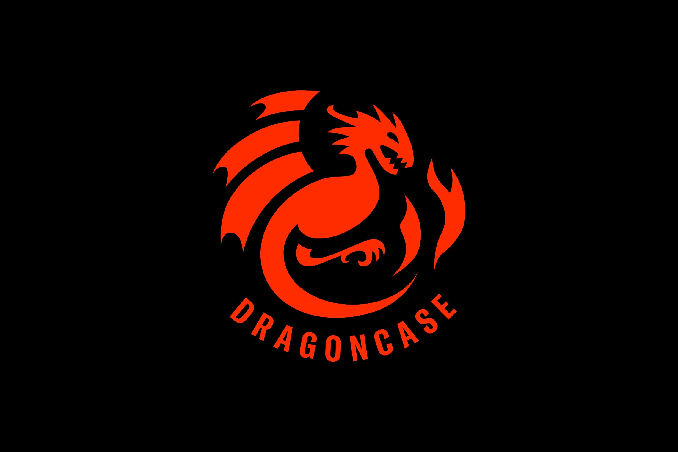Dragoncase-04